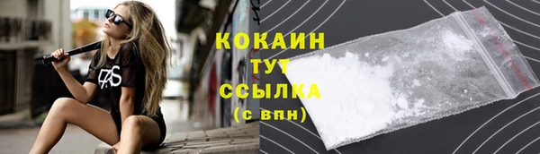 СК Алзамай