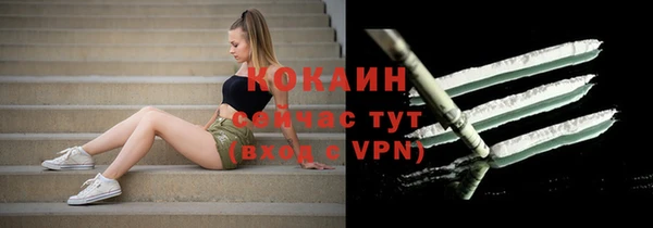 СК Алзамай