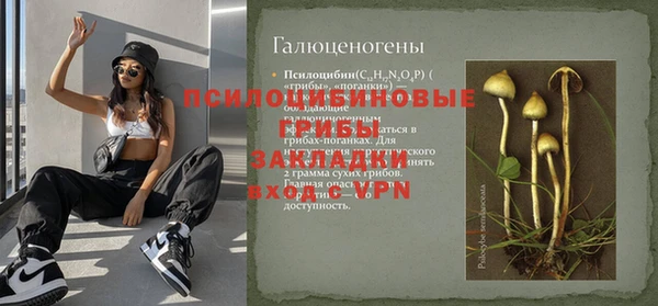 ешки Алексеевка