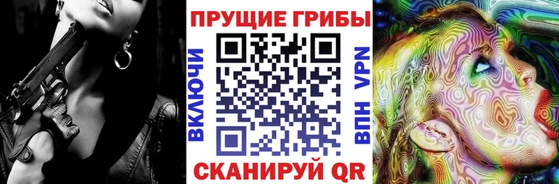 Купить закладки  Лангепас  Псилоцибиновые грибы мицелий 
